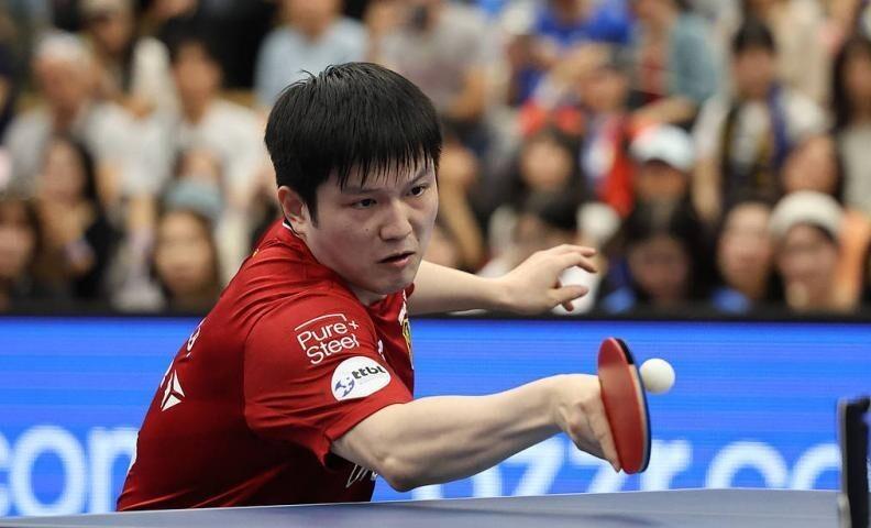 德国乒乓球队绝杀法国乒乓球队，樊振东惊艳世界