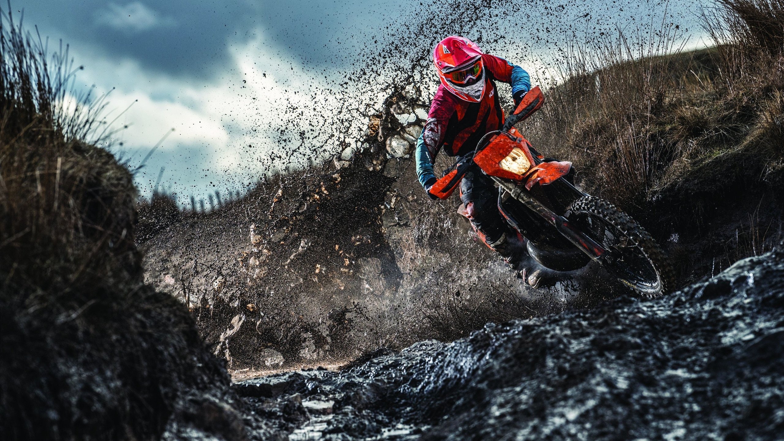 年度焦点之战之夜，京多安关键制胜